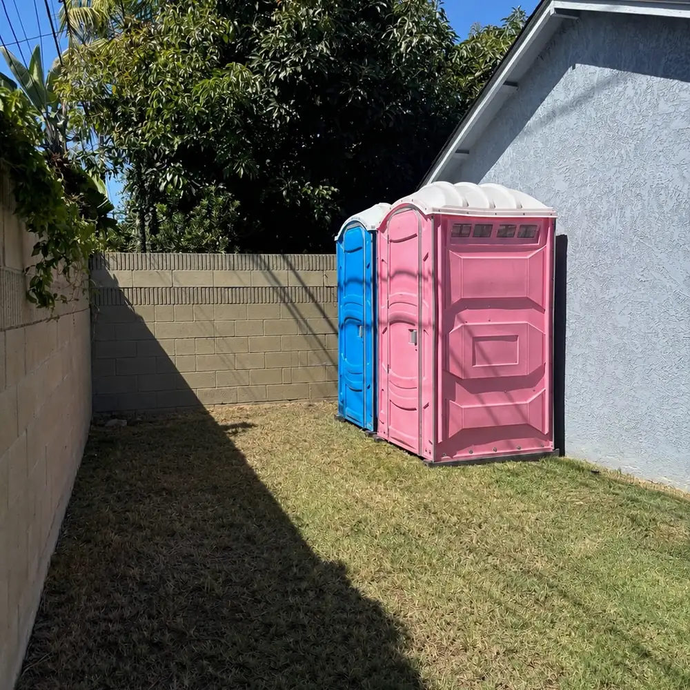 Blue and pink porta potties set on grass in a fenced backyard